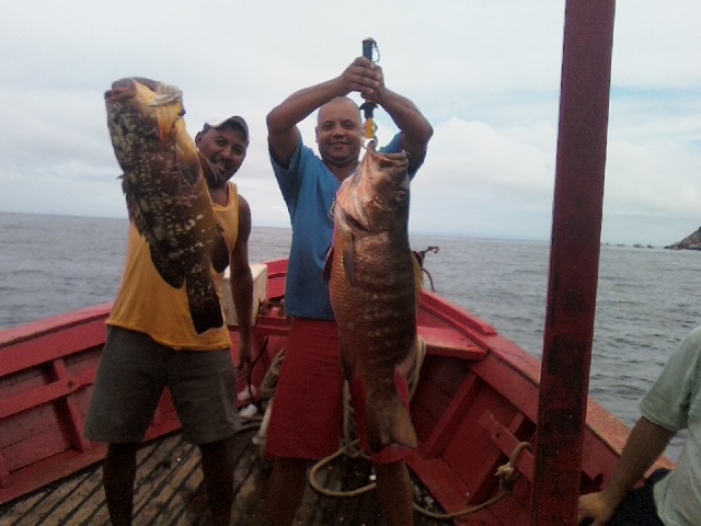 caranha