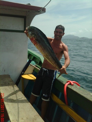 Dourado